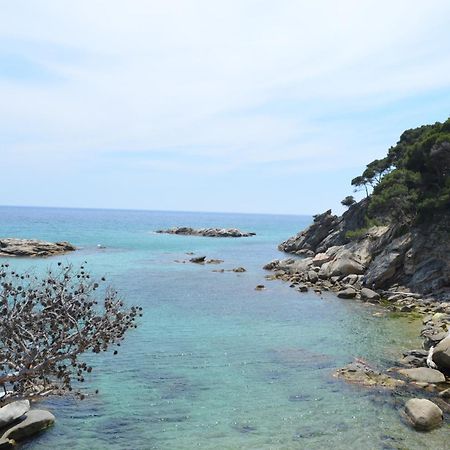 Apartaments Gibert Sant Antoni De Calonge Exteriör bild